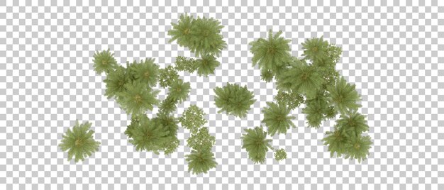 Grüner Wald isoliert auf dem Hintergrund 3D-Rendering-Illustration