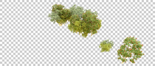 Grüner Wald isoliert auf dem Hintergrund 3D-Rendering-Illustration
