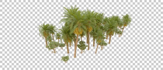 Grüner Wald isoliert auf dem Hintergrund 3D-Rendering-Illustration