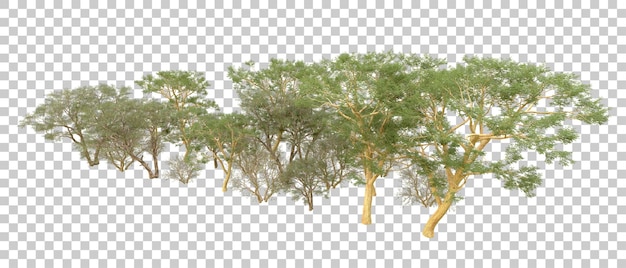 Grüner Wald isoliert auf dem Hintergrund 3D-Rendering-Illustration