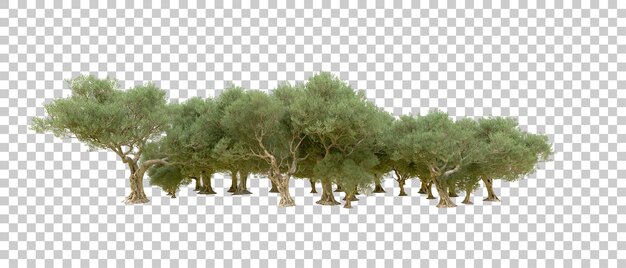 Grüner Wald isoliert auf dem Hintergrund 3D-Rendering-Illustration