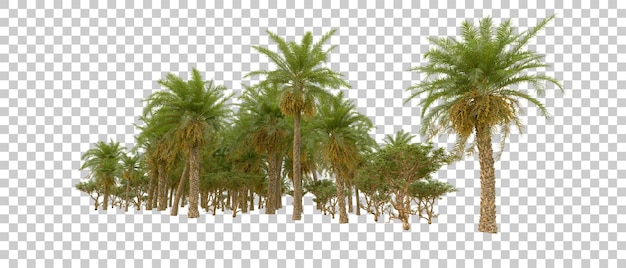 Grüner Wald isoliert auf dem Hintergrund 3D-Rendering-Illustration