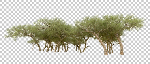 Grüner Wald isoliert auf dem Hintergrund 3D-Rendering-Illustration