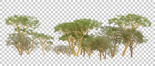 Grüner Wald isoliert auf dem Hintergrund 3D-Rendering-Illustration