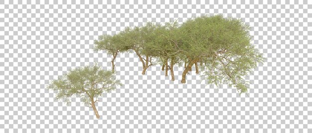 Grüner Wald isoliert auf dem Hintergrund 3D-Rendering-Illustration