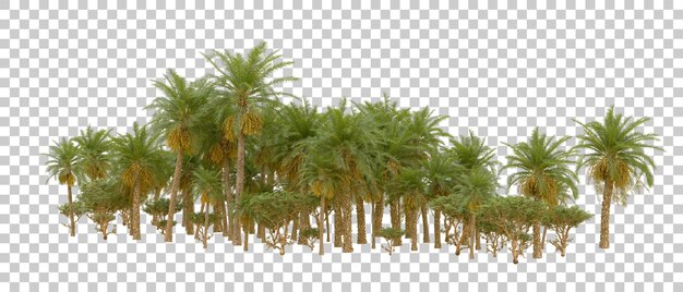 Grüner Wald isoliert auf dem Hintergrund 3D-Rendering-Illustration