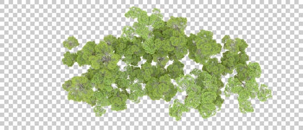 Grüner Wald isoliert auf dem Hintergrund 3D-Rendering-Illustration