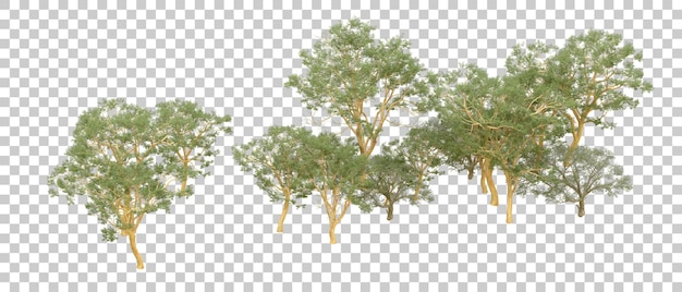 Grüner Wald isoliert auf dem Hintergrund 3D-Rendering-Illustration