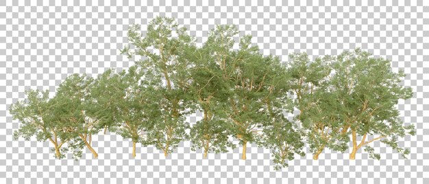 Grüner Wald isoliert auf dem Hintergrund 3D-Rendering-Illustration
