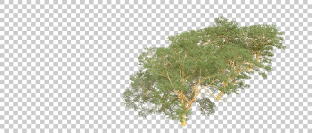 Grüner Wald isoliert auf dem Hintergrund 3D-Rendering-Illustration