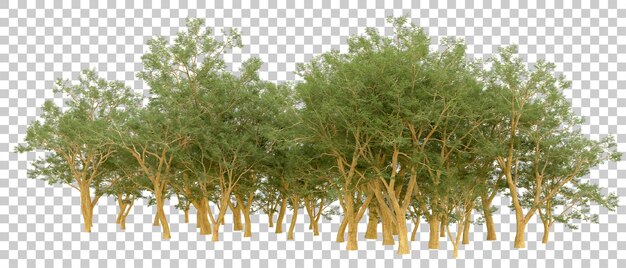 Grüner Wald isoliert auf dem Hintergrund 3D-Rendering-Illustration