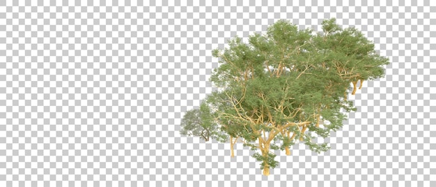 Grüner Wald isoliert auf dem Hintergrund 3D-Rendering-Illustration