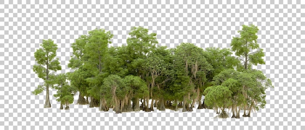 Grüner Wald isoliert auf dem Hintergrund 3D-Rendering-Illustration