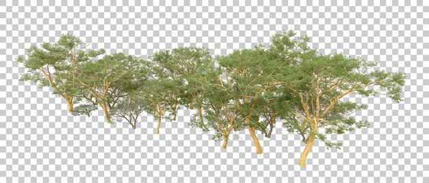 Grüner Wald isoliert auf dem Hintergrund 3D-Rendering-Illustration