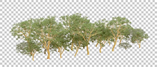 Grüner Wald isoliert auf dem Hintergrund 3D-Rendering-Illustration