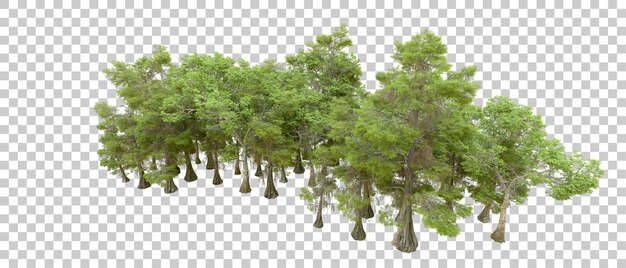Grüner Wald isoliert auf dem Hintergrund 3D-Rendering-Illustration