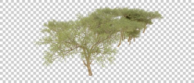 Grüner Wald isoliert auf dem Hintergrund 3D-Rendering-Illustration