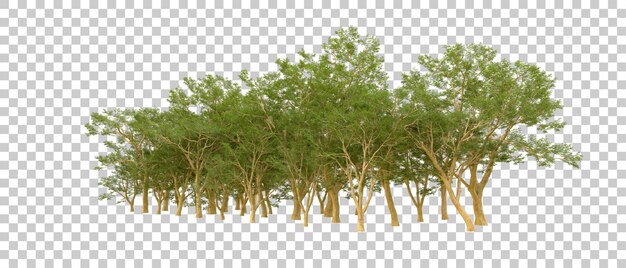 Grüner Wald isoliert auf dem Hintergrund 3D-Rendering-Illustration