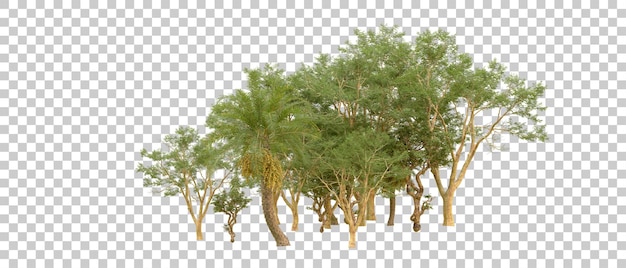 Grüner Wald isoliert auf dem Hintergrund 3D-Rendering-Illustration