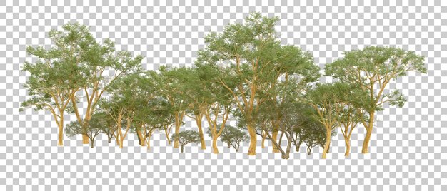 Grüner Wald isoliert auf dem Hintergrund 3D-Rendering-Illustration