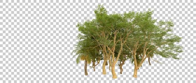 Grüner Wald isoliert auf dem Hintergrund 3D-Rendering-Illustration