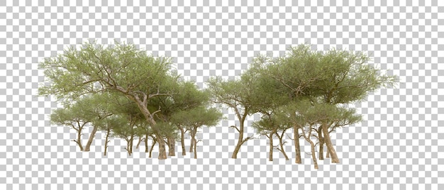 Grüner Wald isoliert auf dem Hintergrund 3D-Rendering-Illustration
