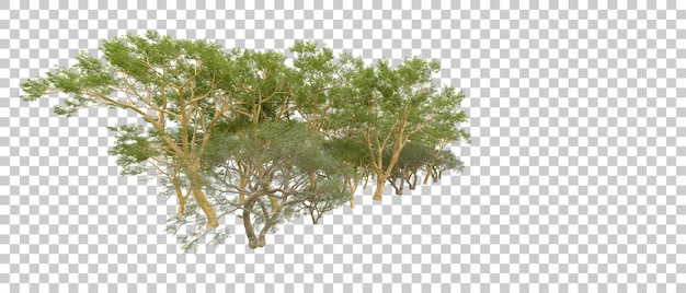 Grüner Wald isoliert auf dem Hintergrund 3D-Rendering-Illustration