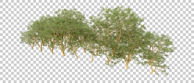 Grüner Wald isoliert auf dem Hintergrund 3D-Rendering-Illustration