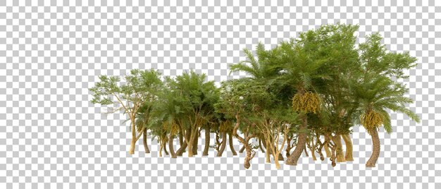 Grüner Wald isoliert auf dem Hintergrund 3D-Rendering-Illustration