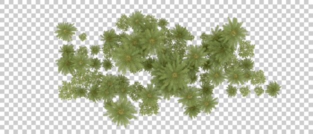 Grüner Wald isoliert auf dem Hintergrund 3D-Rendering-Illustration