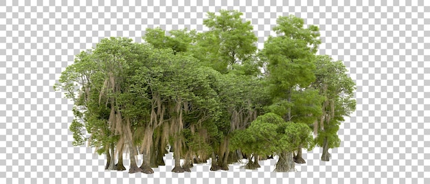 Grüner Wald isoliert auf dem Hintergrund 3D-Rendering-Illustration