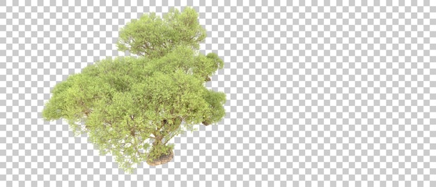 Grüner Wald isoliert auf dem Hintergrund 3D-Rendering-Illustration