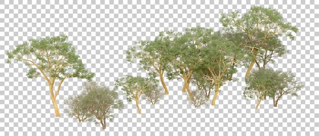 Grüner Wald isoliert auf dem Hintergrund 3D-Rendering-Illustration