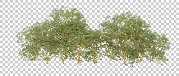 Grüner Wald isoliert auf dem Hintergrund 3D-Rendering-Illustration