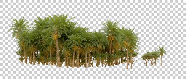 Grüner Wald isoliert auf dem Hintergrund 3D-Rendering-Illustration