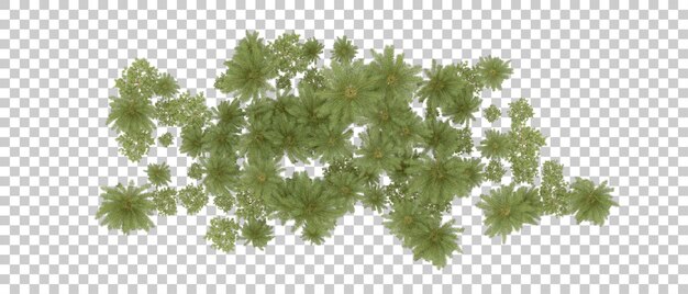Grüner Wald isoliert auf dem Hintergrund 3D-Rendering-Illustration