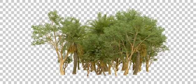 Grüner Wald isoliert auf dem Hintergrund 3D-Rendering-Illustration