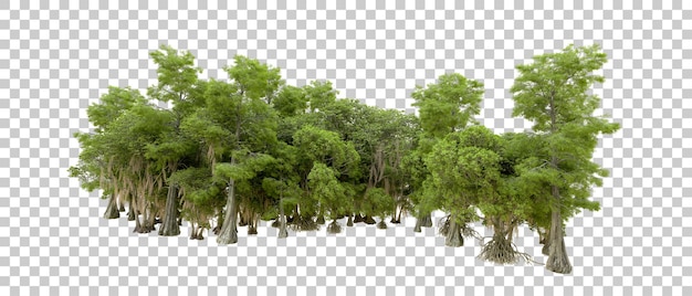 Grüner Wald isoliert auf dem Hintergrund 3D-Rendering-Illustration