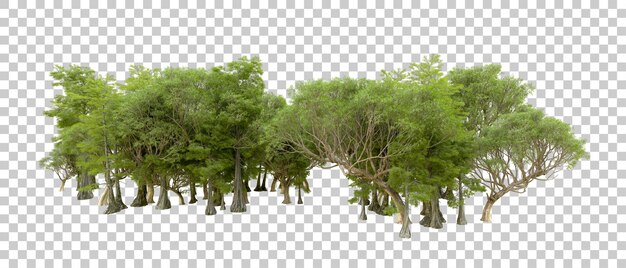 Grüner Wald isoliert auf dem Hintergrund 3D-Rendering-Illustration