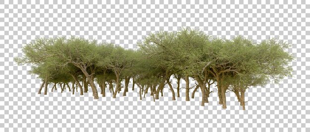 Grüner Wald isoliert auf dem Hintergrund 3D-Rendering-Illustration