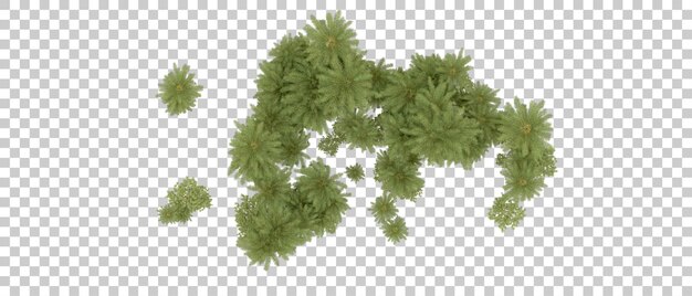 Grüner Wald isoliert auf dem Hintergrund 3D-Rendering-Illustration