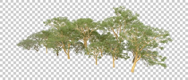 Grüner Wald isoliert auf dem Hintergrund 3D-Rendering-Illustration