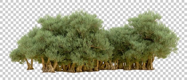 Grüner Wald isoliert auf dem Hintergrund 3D-Rendering-Illustration