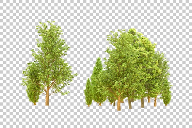 Grüner Wald isoliert auf durchsichtigem Hintergrund 3D-Rendering-Illustration