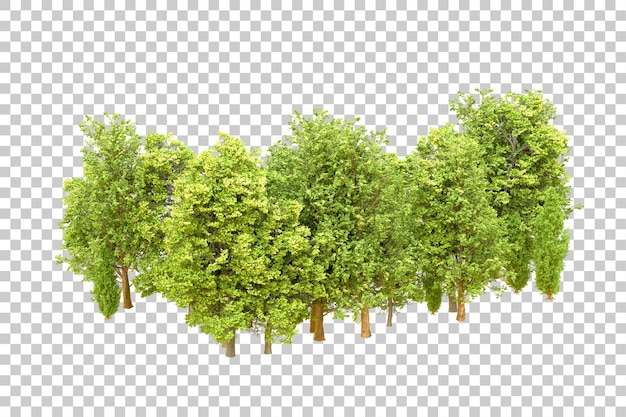 Grüner Wald isoliert auf durchsichtigem Hintergrund 3D-Rendering-Illustration