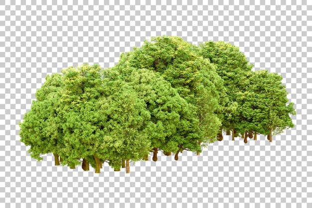 Grüner Wald isoliert auf durchsichtigem Hintergrund 3D-Rendering-Illustration