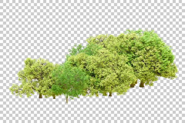 PSD grüner wald isoliert auf durchsichtigem hintergrund 3d-rendering-illustration