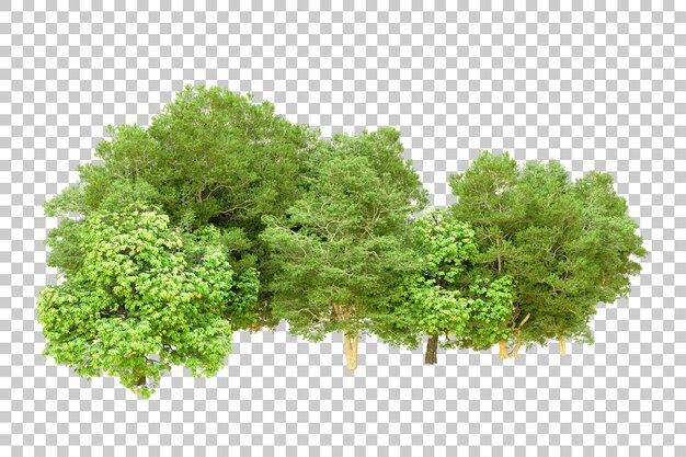 Grüner Wald isoliert auf durchsichtigem Hintergrund 3D-Rendering-Illustration