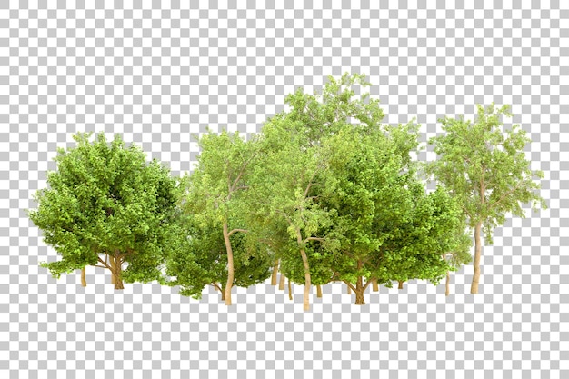 Grüner Wald isoliert auf transparentem Hintergrund 3D-Rendering-Illustration
