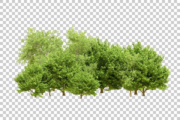 Grüner Wald isoliert auf transparentem Hintergrund 3D-Rendering-Illustration